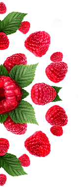 Frambuesa