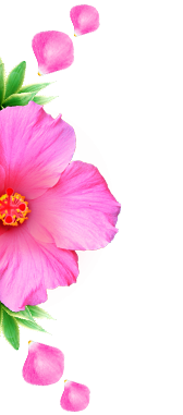 Flor