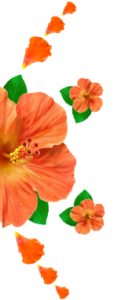 Flor
