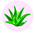 Beneficio de maquina de depilar Quattro You aloe
